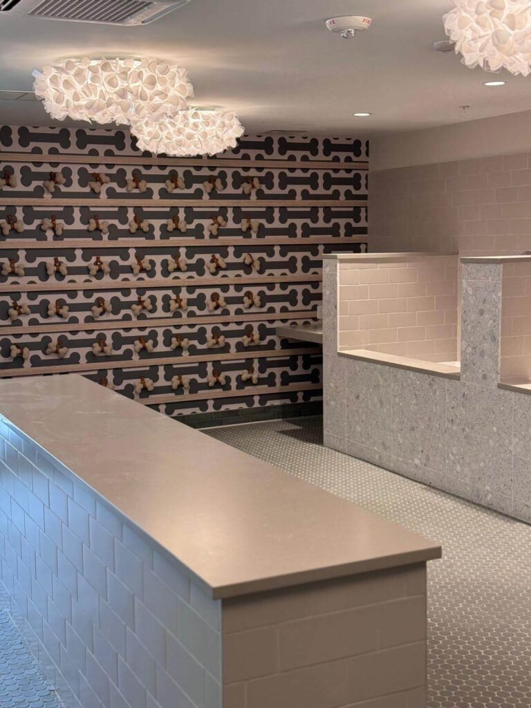 Pet Grooming Renovation 2 - D.O.S Tile Solutions