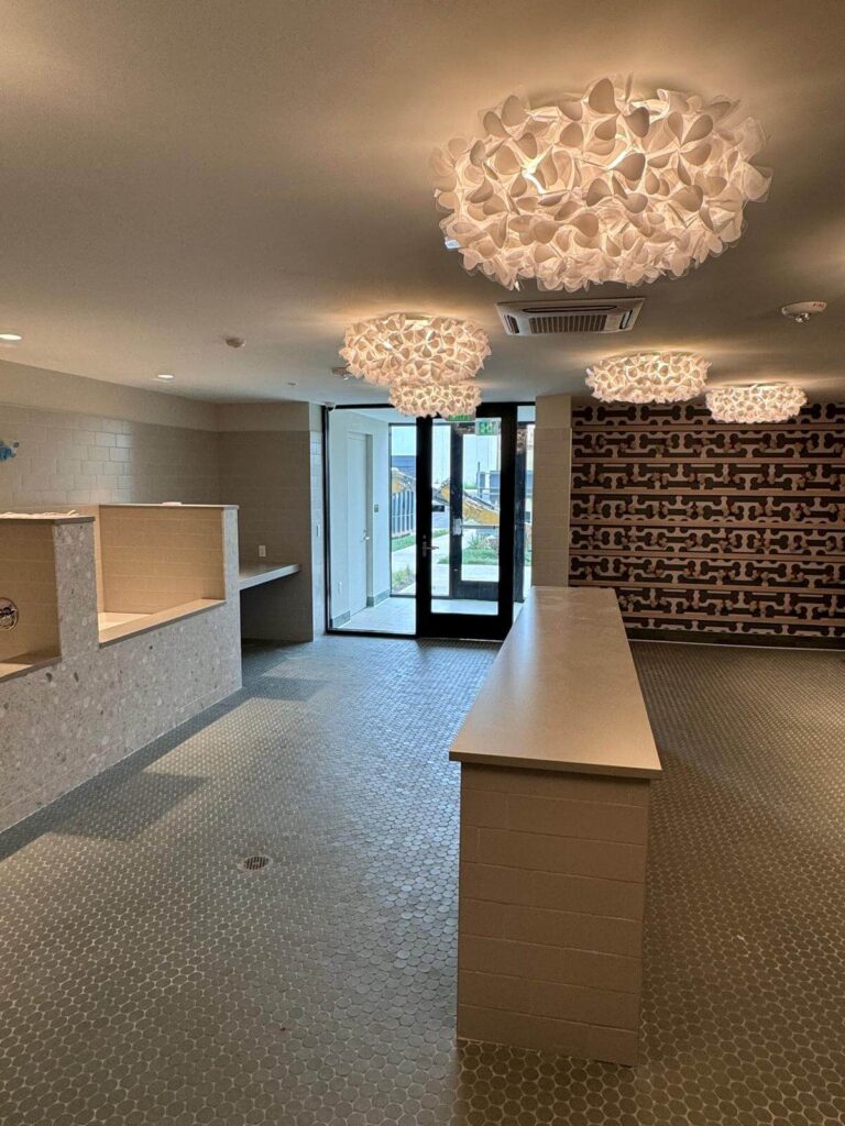 Pet Grooming Renovation 5 - D.O.S Tile Solutions